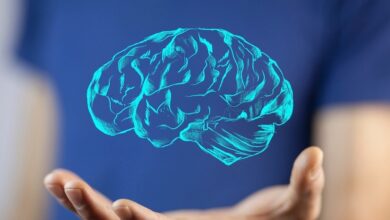 Descubren cómo el síndrome de Down afecta al cerebro antes del nacimiento