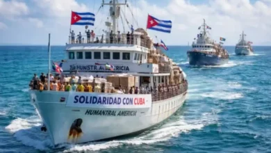 Convoy llega a La Habana con alimentos e insumos médicos esenciales
