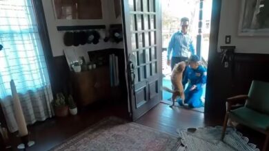 El tierno reencuentro de Christina Koch con su mascota tras la misión Artemis II