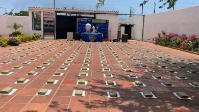 Incautan 137 kilos de marihuana en Falcón