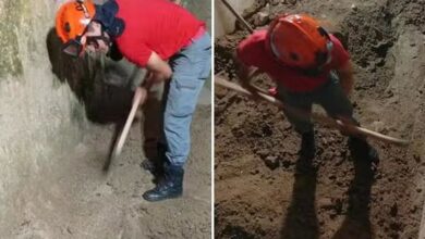 Brasil: Mata a su esposa, la entierra en casa y finge que ella huyó con un amante