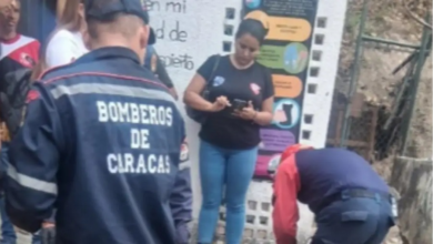 Hombre resulta gravemente herido tras caerle un árbol encima