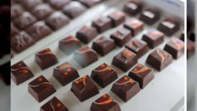 Nuestro cacao es el invitado estrella del ShowColat Festival 2026 en Francia