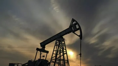 OPEP+: Siete países acuerdan incremento progresivo de 188.000 barriles diarios para junio