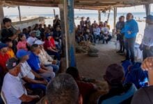 Zafra sardinera en la Isla de Coche: Acuerdan nuevas estrategias para optimizar la comercialización