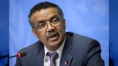OMS descarta riesgo epidemiológico en Tenerife ante desembarco del MV Hondius