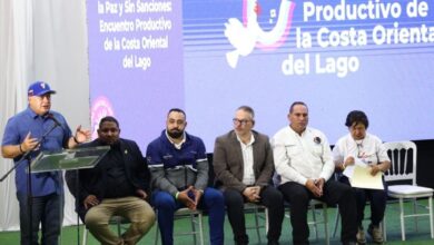 Gobierno nacional prevé incorporar 600 nuevos megavatios al Sistema Eléctrico Nacional