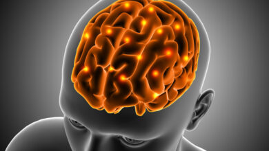 Investigadores españoles desarrollan parche de seda para reparar el cerebro tras un ACV