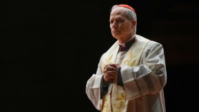 Papa León XIV advierte sobre el impacto de las tecnologías digitales en la salud mental de los jóvenes