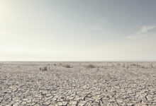 ONU alerta: 86 % de probabilidad de récord de calor antes de 2030