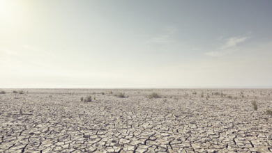 ONU alerta: 86 % de probabilidad de récord de calor antes de 2030