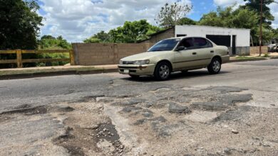 Piden incluir la Av. José Antonio Páez en el plan de asfaltado