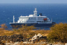 Chile aísla a dos pasajeros del crucero MV Hondius por brote de hantavirus