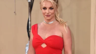 Britney Spears se declara culpable conducir intoxicada en California