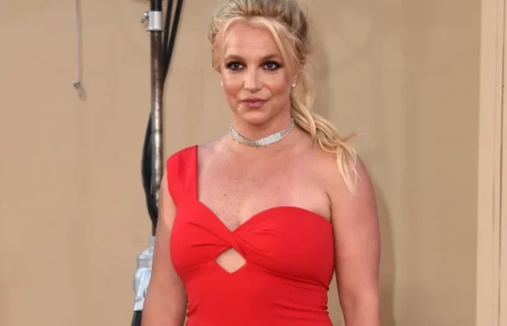 Britney Spears se declara culpable conducir intoxicada en California