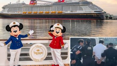 Caen 10 empleados de cruceros Disney por red de pornografía infantil