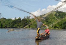 Inicia veda pesquera en el Río Orinoco: Prohíben pesca comercial en la Zona B hasta julio