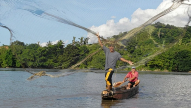 Inicia veda pesquera en el Río Orinoco: Prohíben pesca comercial en la Zona B hasta julio