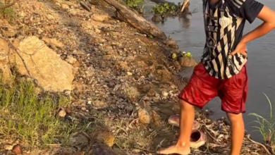 Niño colombiano reaparece en video para defender su insólita amistad con un caimán