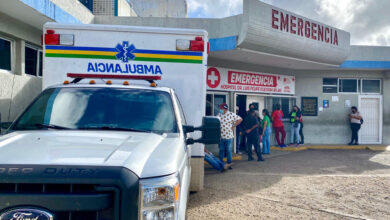 Ataque de abejas en la Intercomunal El Tigre deja a una mujer herida