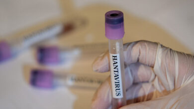 Francia confirma su primer caso positivo de hantavirus