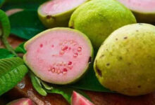Conoce los principales beneficios de la hoja de guayaba para la salud