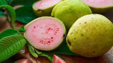 Conoce los principales beneficios de la hoja de guayaba para la salud