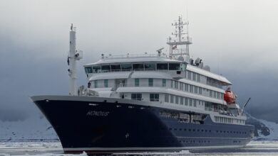 Alerta internacional en Tenerife: el Papa León XIV elogia la acogida del crucero golpeado por el hantavirus
