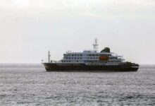 Suben a ocho los contagios por hantavirus en crucero neerlandés