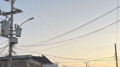 Niño recibe descarga eléctrica al intentar rescatar un papagayo en Maracaibo
