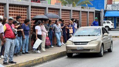 Reportan falta de carritos por puestos de la ruta 9 en horas picos