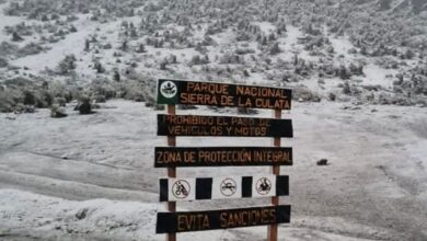 Primera nevada de 2026 tiñe de blanco la Sierra de La Culata en Mérida