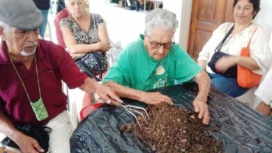 Inces supera los 22 mil adultos mayores inscritos en lo que va de año