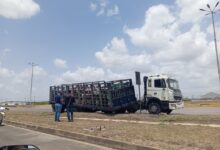 Camión de gas sufre desperfecto mecánico en la Zona Industrial