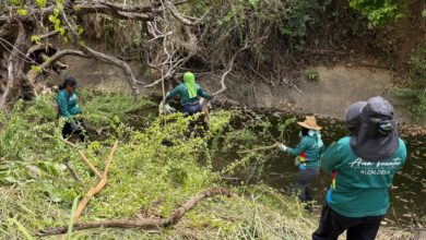 Protección ante las lluvias: Alcaldía de Maturín intensifica limpieza de caños