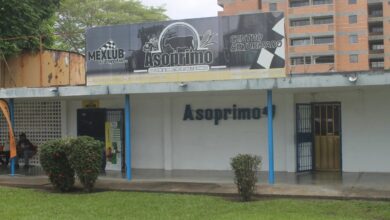 Asoprimo insta a ganaderos a sumarse a la vacunación contra la fiebre aftosa