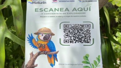 Digitalizan el parque La Guaricha con códigos QR para identificar especies de árboles