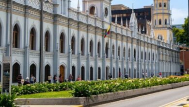 Academia Nacional de Medicina descarta alerta sanitaria por hantavirus en Venezuela