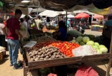 Maturineses hacen "maromas" ante los elevados precios en el mercado de Los Bloques