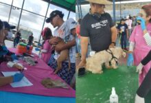 Celebran el Día de la Familia con mega jornada veterinaria e integral en Maturín