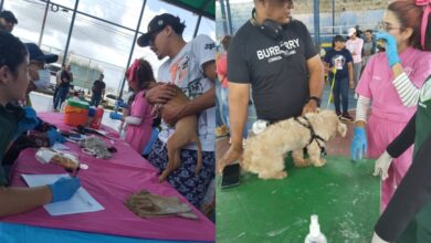 Celebran el Día de la Familia con mega jornada veterinaria e integral en Maturín