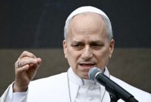 El Papa lamenta que las guerras ralenticen los avances en el cuidado del medio ambiente
