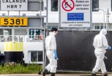 El brote de hantavirus deja más de 440 contactos bajo vigilancia en 30 países