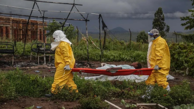 Fallecen tres voluntarios de la Cruz Roja contagiados de ébola durante una misión en el Congo