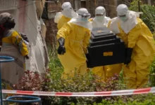 India y la Unión Africana aplazan cumbre por brote de ébola