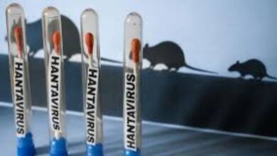 Mantienen bajo vigilancia a 41 personas por exposición al hantavirus en EE.UU.