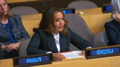 Venezuela reafirma en la ONU que la energía es un bien estratégico para el desarrollo de los pueblos