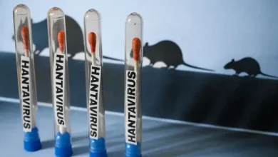 Científicos argentinos prueban un spray nasal que promete frenar el hantavirus