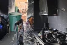 Gato salva a su familia de un incendio en Guatire y muere en el siniestro