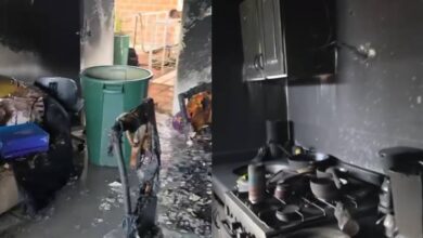 Gato salva a su familia de un incendio en Guatire y muere en el siniestro